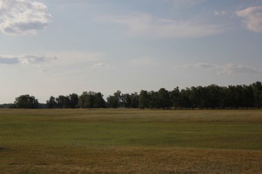 forest yakınındaki alanıyla manzara