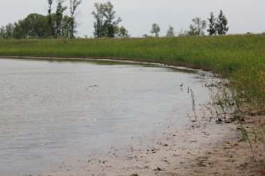 Lake forest yakınındaki alanındaki