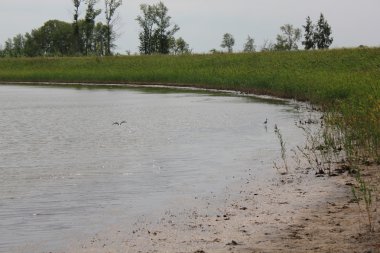 Lake forest yakınındaki alanındaki