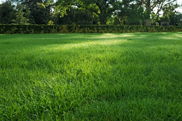 Fırtına bulutları denize, siyah ve beyaz.