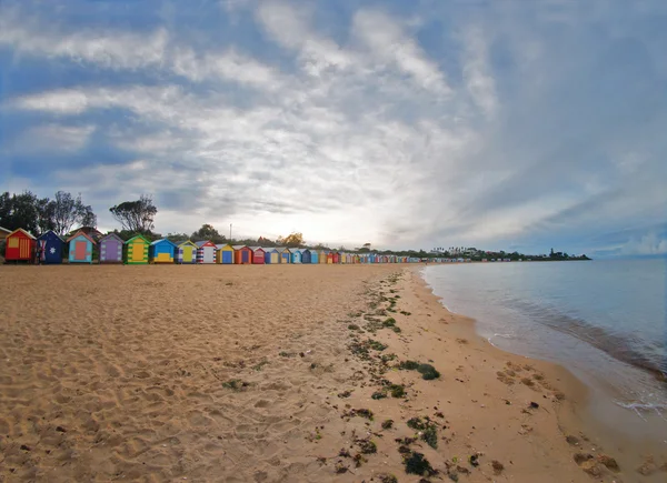Brighton παραλία σπίτια νωρίς το πρωί, Αυστραλία — Φωτογραφία Αρχείου
