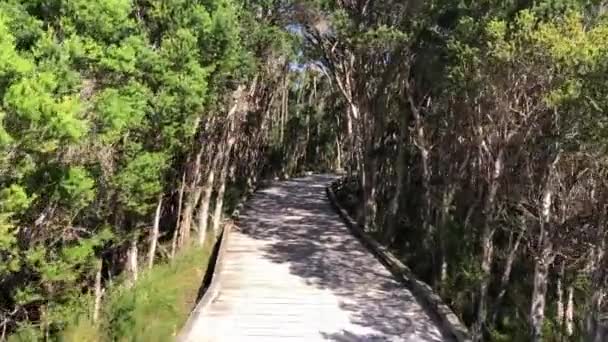 Sentieri a piedi nel parco nazionale del Wilsons Promontory, Australia. — Video Stock