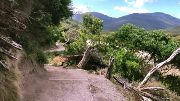 Vandringsleder i Wilsons Promontory nationalpark, Australien. — Stockvideo