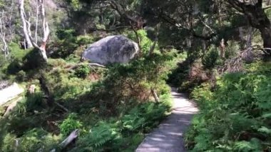 Wilsons Promontory Ulusal Parkı, Avustralya 'da yürüyüş yolları.