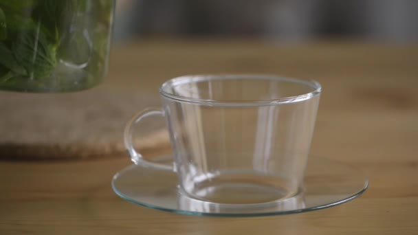Pouring hot mint tea into transparent glass tea cup. — Stock Video