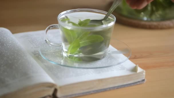 Míchání horký mátový čaj s lžičkou. — Stock video