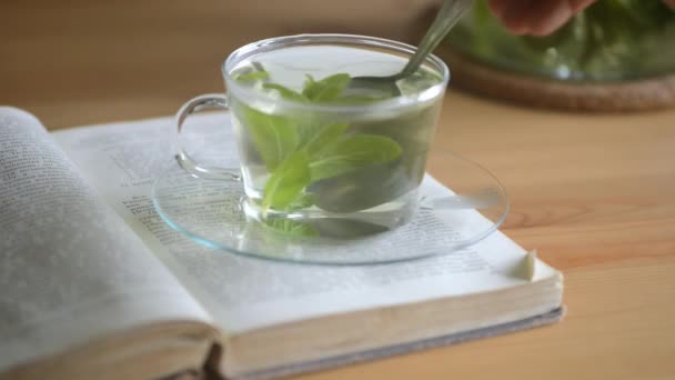 Agitar el té de menta caliente con cucharadita. — Vídeos de Stock