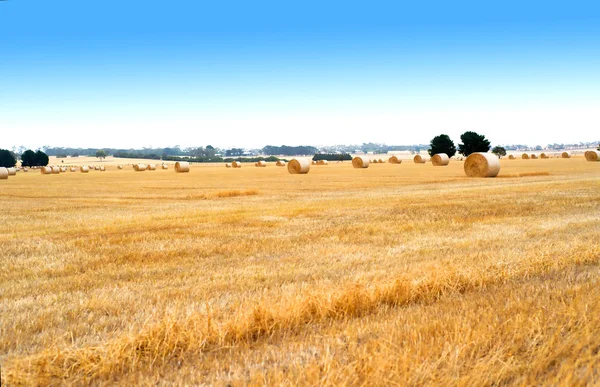 Platteland landschap met gouden balen hooi — Stockfoto