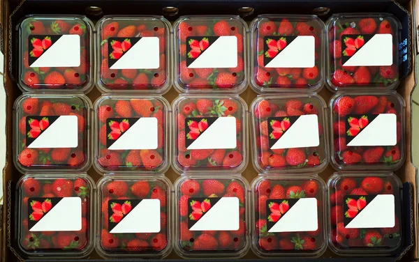 Strawberries in containers with stickers on them — Stock Photo, Image