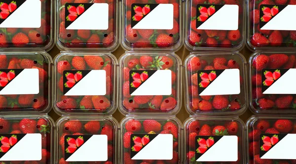 Strawberries in containers with labels — Stock Photo, Image