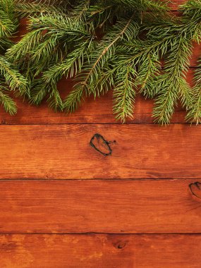 Noel ağacı dalları tahtada. Sığ dof.