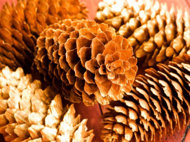 Altın kozalaklı Noel festivali arka planı. Sığ dof.