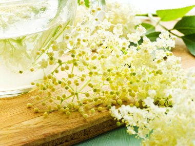 Ahşap arka planda Mürver çiçekleri. Sığ dof.