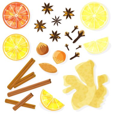 Baharat, fındık ve meyve seti. Sıcak şarap malzemeleri. Vektör illüstrasyon düzlüğü.