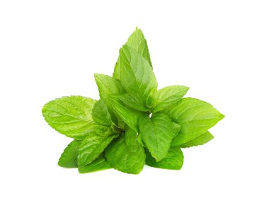 Beyaz arkaplanda izole edilmiş nane yaprakları