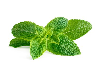 Raw mint leaves isolated on white background clipart