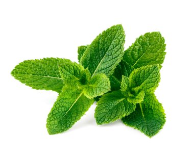Raw mint leaves isolated on white background clipart