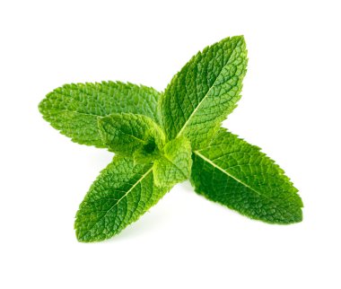 İzole üzerinde beyaz arka plan ham nane yaprakları