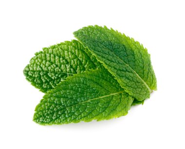 İzole üzerinde beyaz arka plan ham nane yaprakları