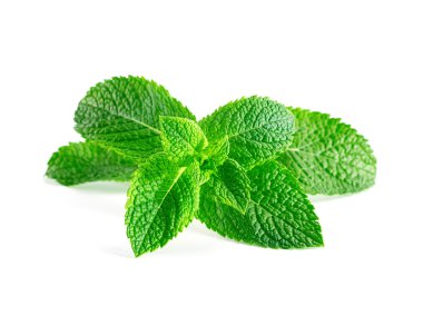 Mint leaves isolated on white background clipart