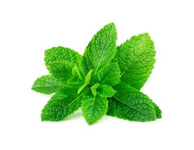 Beyaz arkaplanda izole edilmiş nane yaprakları