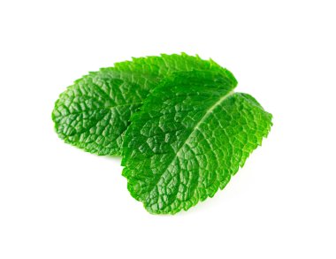 Beyaz arkaplanda izole edilmiş nane yaprakları