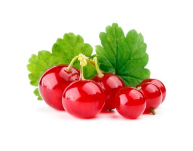 yaprak üzerine beyaz izole kırmızı kuş üzümü