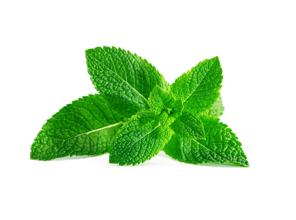 Mint leaves isolated on white background — Stock Photo, Image