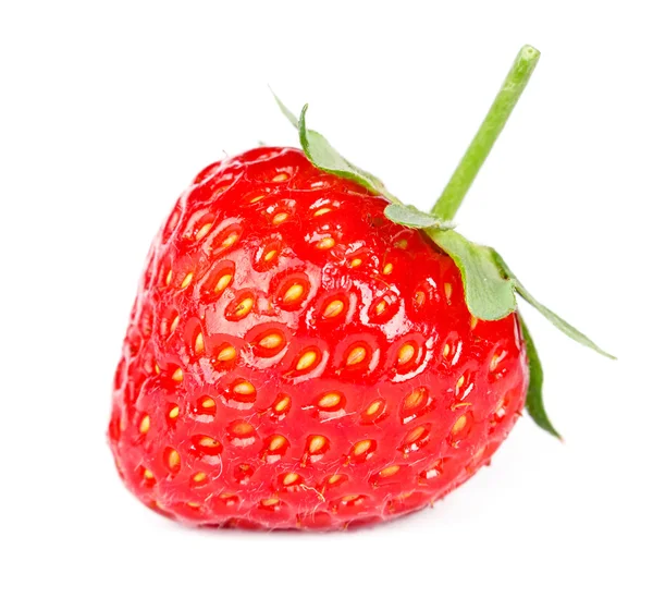 Strawberry on white background — Stock Photo, Image