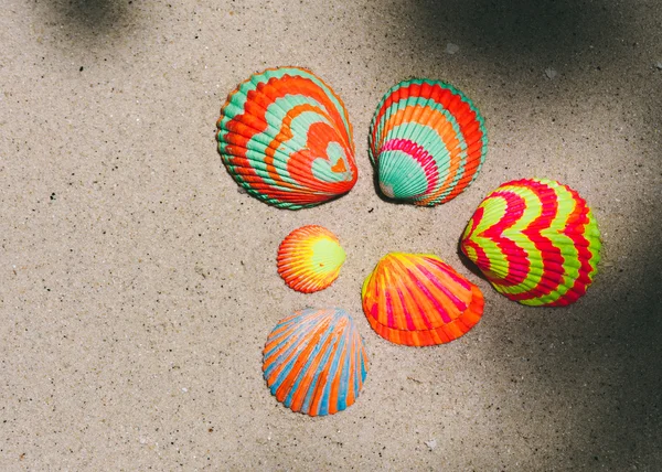 Colorful seashells on sand — Stock Photo, Image