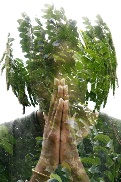 젊은 남자, 나뭇잎으로 두 번 노출 사진 — 스톡 사진
