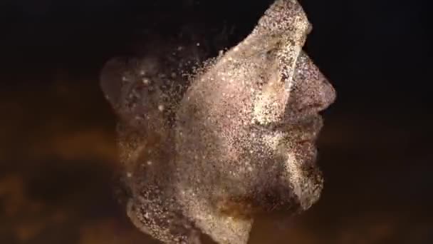 Ett digitalt manipulerat porträtt av en man — Stockvideo