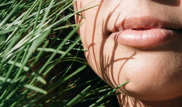 Aantrekkelijke lippen met fir naalden — Stockfoto