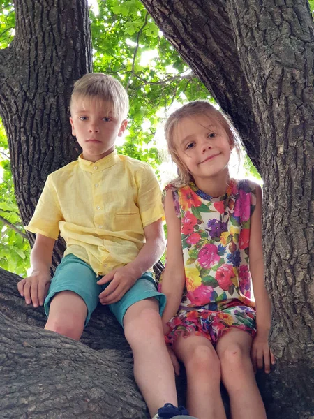 男孩和女孩正坐在树枝上 — 图库照片