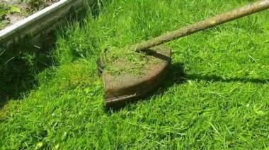 Elle biçilen elektrikli çim biçme makinesiyle aşırı gelişmiş bir çim biçme makinesi.