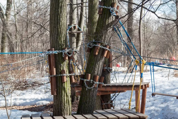 Holzplattform Auf Baum Seilkletterpark Frühlingswald Holzsockel Baumstamm Leiter Und Seile — Stockfoto