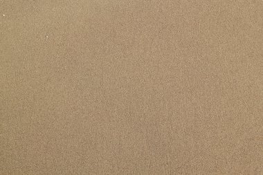 Sandy beach için arka plan