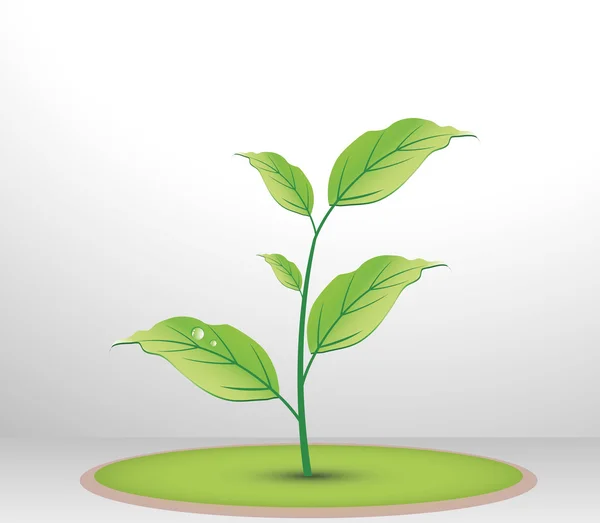 Grünes Pflanzenschild — Stockvektor