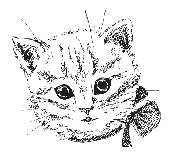Kitten head sketch — Stock Vector