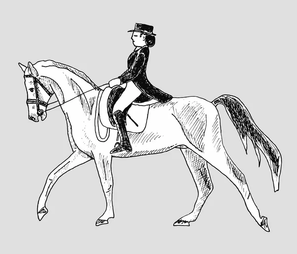 Mulher cavaleiro a cavalo —  Vetores de Stock