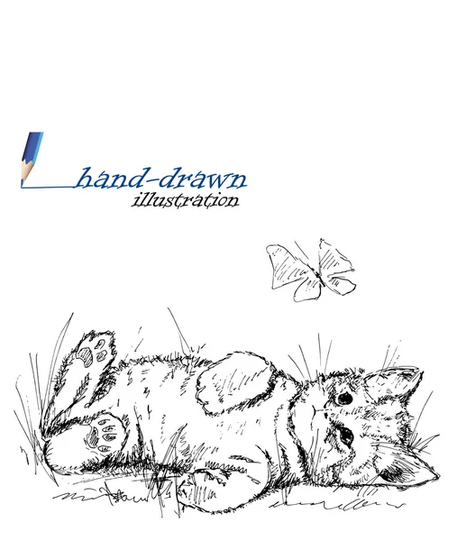 Кошеня в траві Ескіз — стоковий вектор