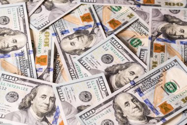para Amerikan dolarları bolluğu