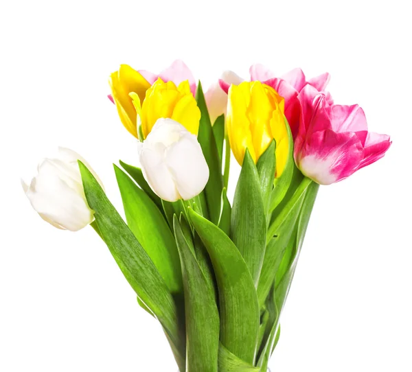 Cambada de flores de tulipas de primavera — Fotografia de Stock