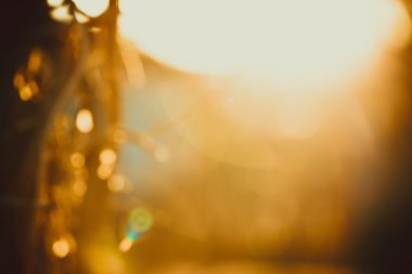 parlak arka plan bulanıklık