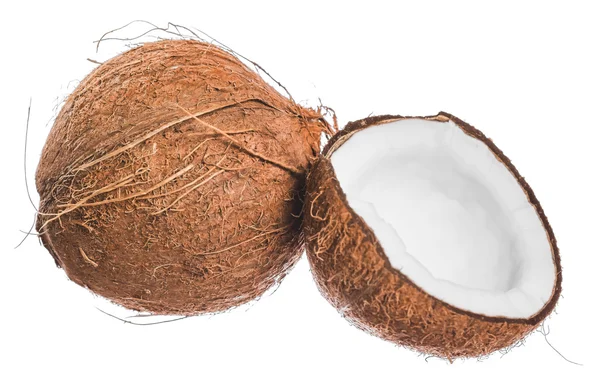 Kokosnuss auf weißem Hintergrund — Stockfoto