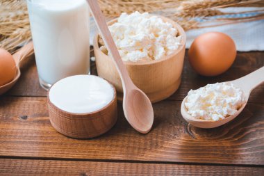 süt, peynir, ekşi krema ve yumurta 