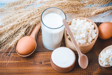 süt, peynir, ekşi krema ve yumurta 