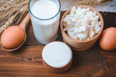 süt, peynir, ekşi krema ve yumurta 