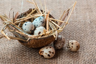 Yuvadaki paskalya yumurtaları 