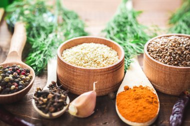 Kaşık içinde renkli baharatlar 